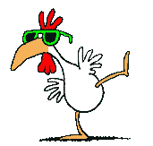 Pollo